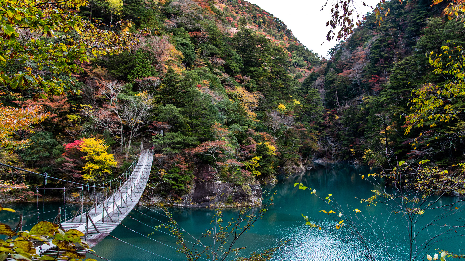 夢のつり橋